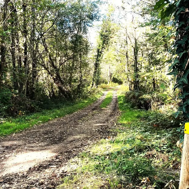 MAREUIL-Boucle de Puyrenier-Chemin-Poteau