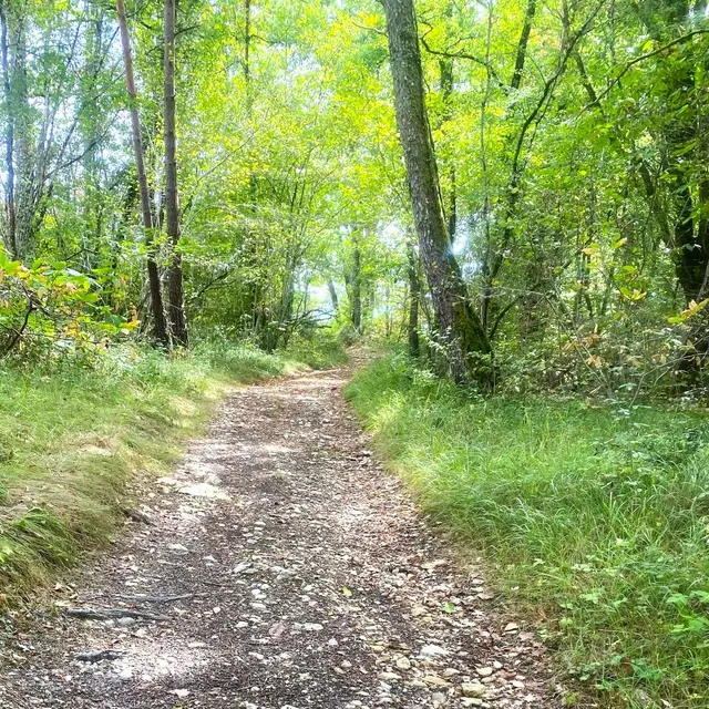 MILHAC-DE-NONTRON-Boucle de Chadeuil-Chemin