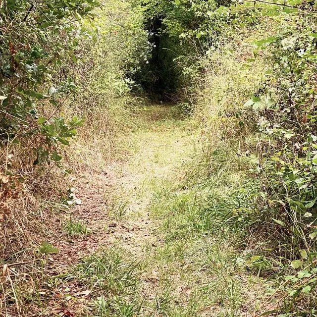 MILHAC-DE-NONTRON-Boucle de Chantres-Chemin 2