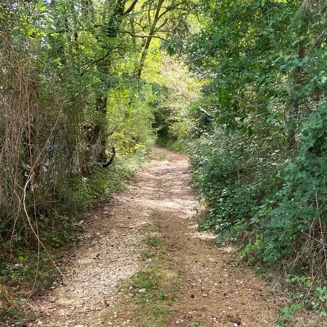 MILHAC-DE-NONTRON-Boucle de Croze-Chemin 2