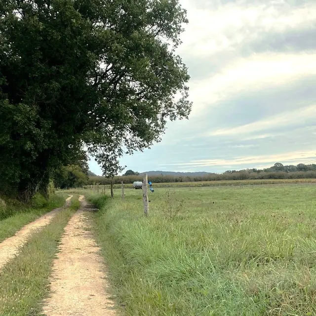 MOUZENS-Boucle de Mouzens-Chemin-poteau 2