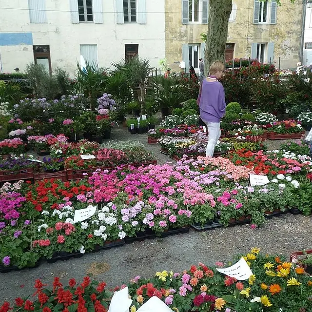 Marché aux fleurs