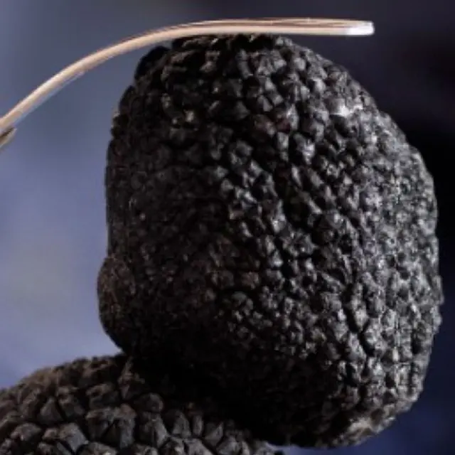 Marché de la truffe