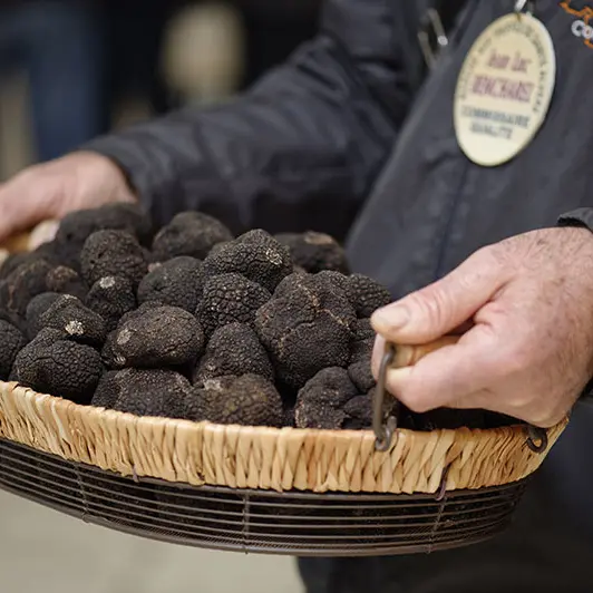 Marche-truffes-Sainte-Alvere