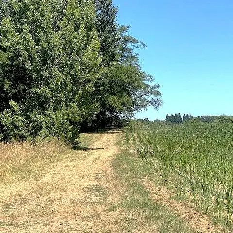 Milhac d'auberoche-Boucle de leygalie-Chemin