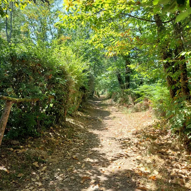 Montrem-5 étangs-visuel chemin 1