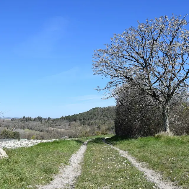Montrem-sentier-truffières (13SIRT)