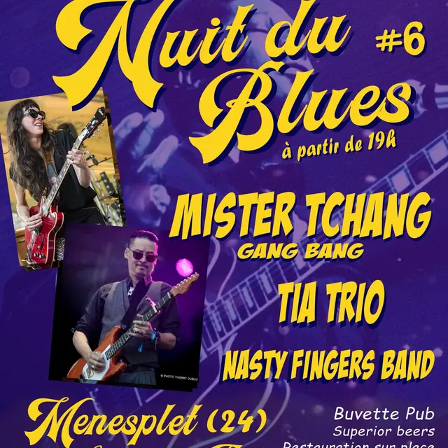 Nuit-du-blues-menesplet-vallee-isle-perigord