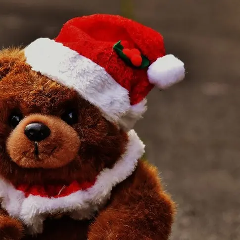 Ourson de noël