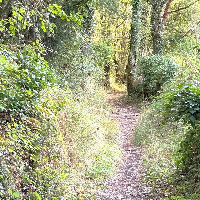 PAUSSAC SAINT VIVIEN-Boucle du Boulou-Chemin 2