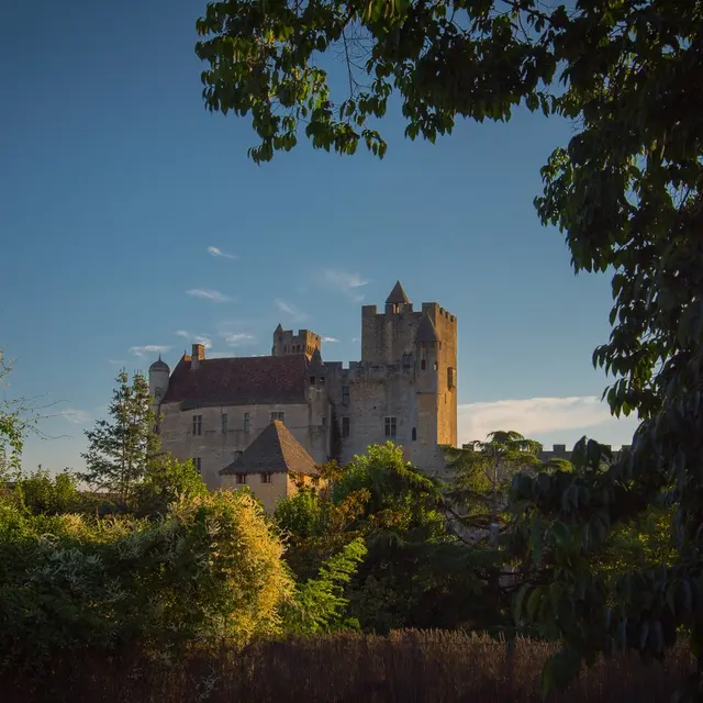 Patrimoine Beynac Dan Courtice (78)
