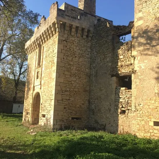 Château de Marqueyssac exterieur 2