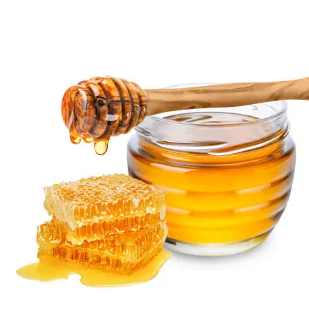 Pot-de-miel-conférence-montpon-vallée-isle-perigord