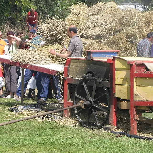 Plougoulm_gouel_an_eost_2007_battage_à_l'ancienne_B