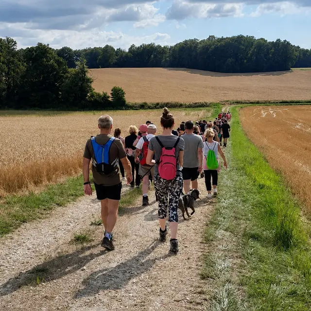 Promenade de Celles