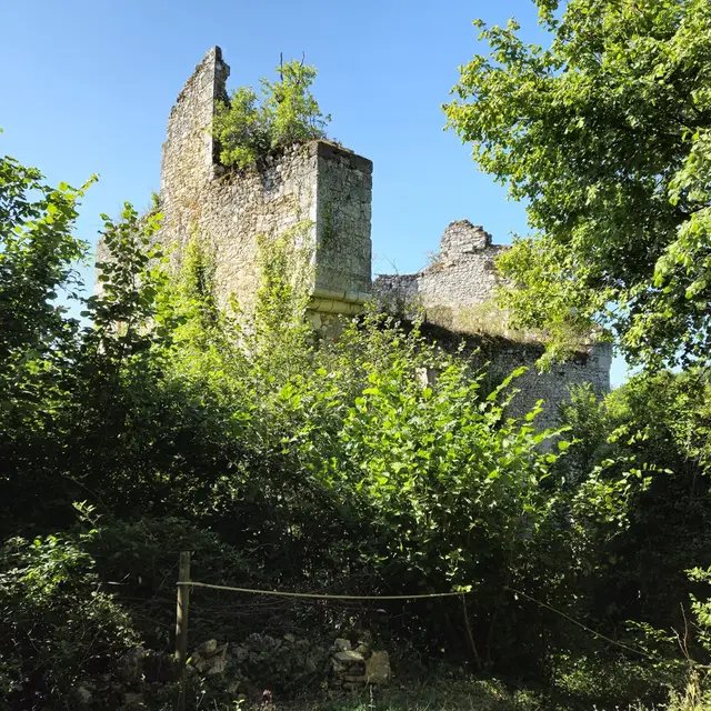RS Château de Bruzac 02
