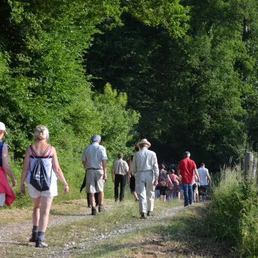 Randonnée @OTPérigordNontronnais
