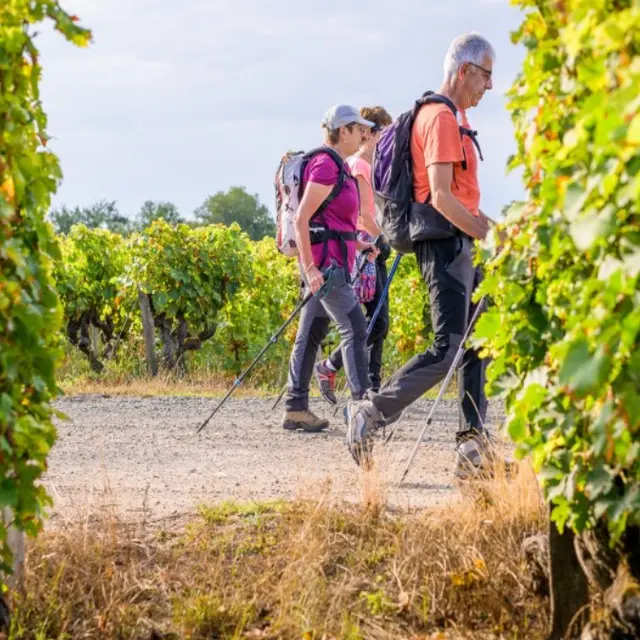Randonnée 3 mai 26 St Eulalie d'Eymet 1 (1)