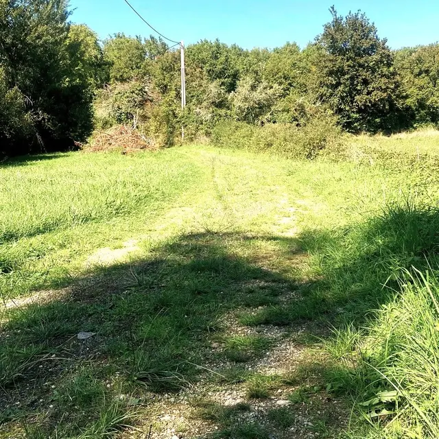 SAINT-AUBIN-DE-NABIRAT-Boucle La Borie-Chemin