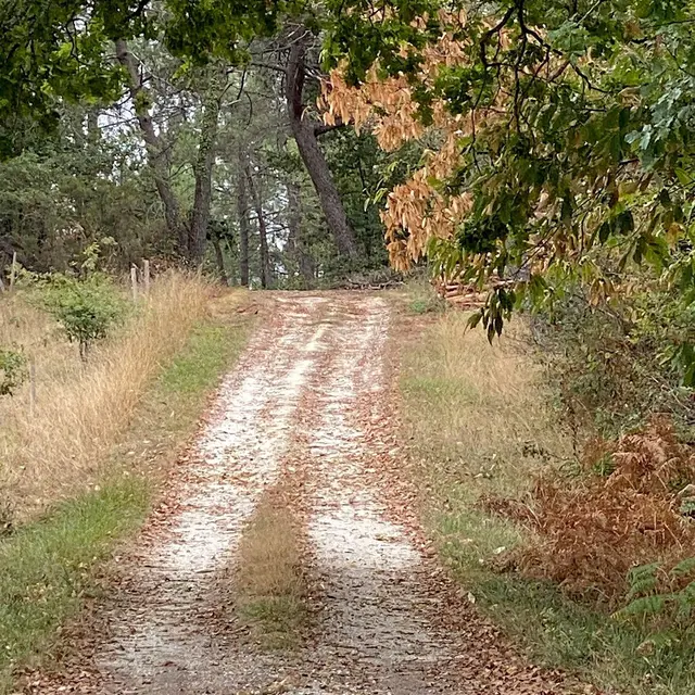 SAINT-AULAYE-PUYMANGOU-Boucle de Puymangou-Chemin