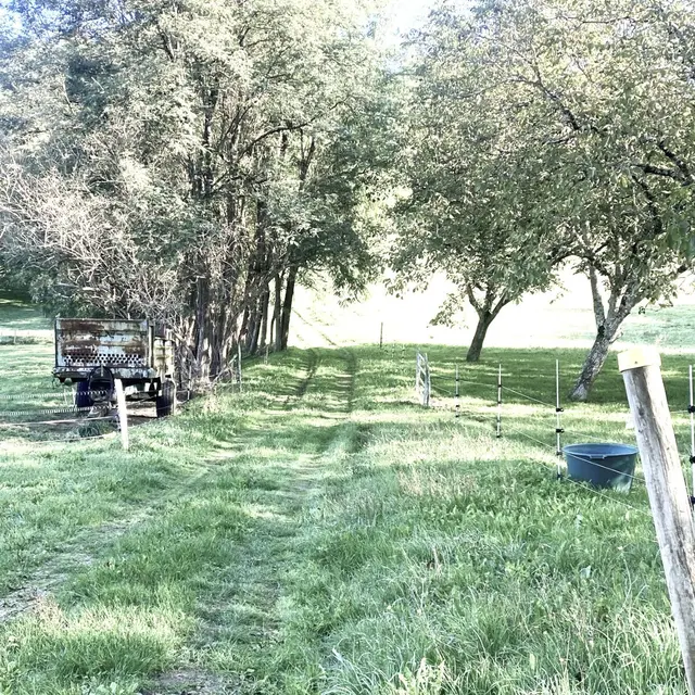 SAINT-GERMAIN-DE-BELVES-Boucle de Marcousin-Chemin 2