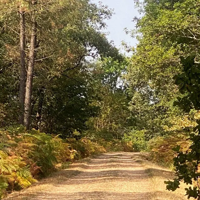 SAINT GERMAIN DU SALEMBRE-Balade de la Fontaine-Chemin