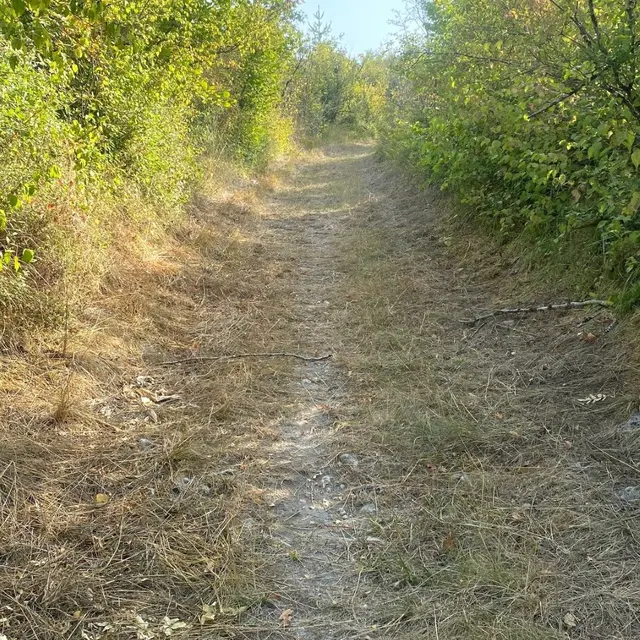 SAINT GERMAIN DU SALEMBRE-Boucle de la Mazille-Chemin 2