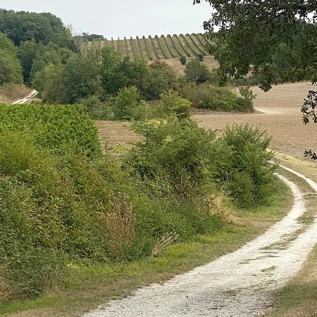SAINT-JULIEN D'EYMET-Boucle du Pas de l'Âne-Chemin 2