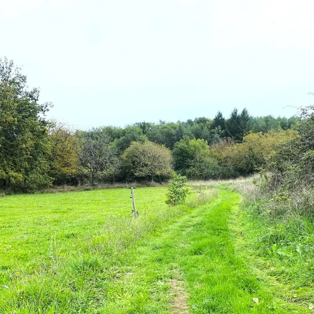 SAINT-JULIEN-DE-BOURDEILLES-Boucle de Saint Julien-Chemin
