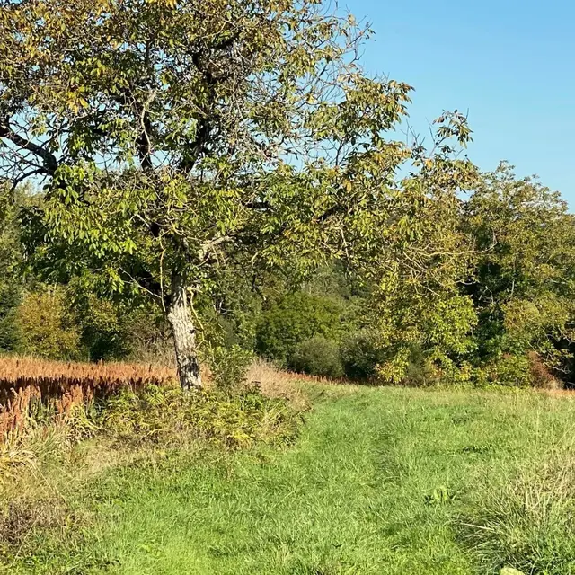 SAINT-LAURENT-LA-VALLEE-Boucle Les Tours Anglaises-Chemin