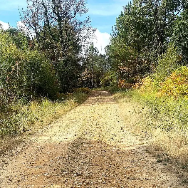 SAINT-MARTIN DE GURSON-Boucle de Plagnac-Chemin