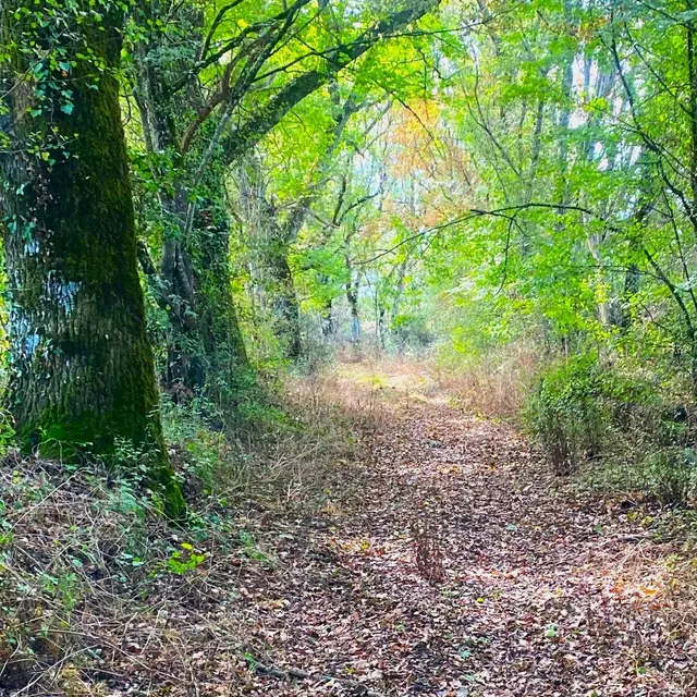 SAINT-MARTIN-LE-PIN-Boucle de Saint-Martin-Chemin