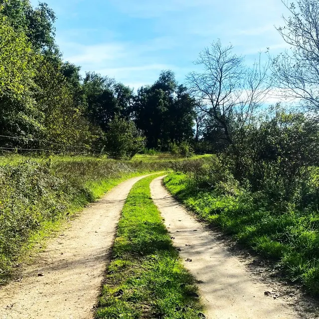 SAINT-PANCRACE-Boucle de Saint-Pancrace-Chemin 2