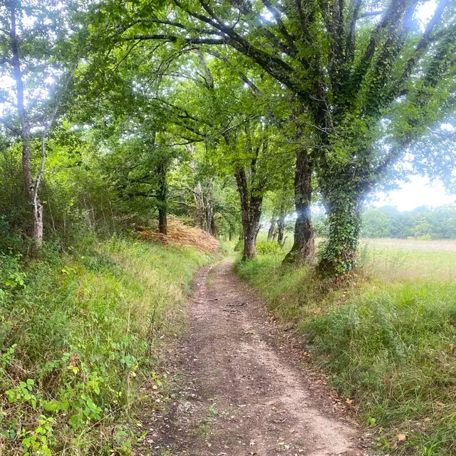SAINT-PARDOUX-LA-RIVIERE-Boucle de Puypelat-Chemin