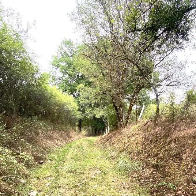 SAINT-PARDOUX-LA-RIVIERE-Boucle de la Dorie-Chemin