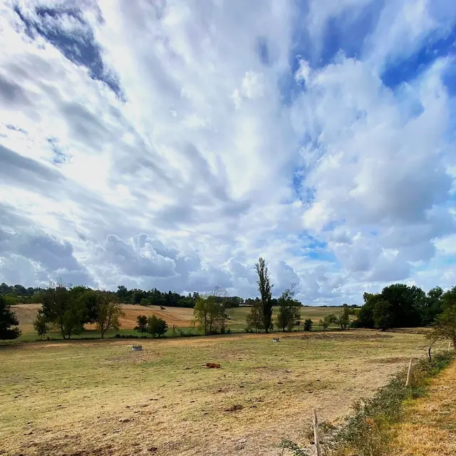 SAINT PAUL LIZONNE-Boucle de Saint Paul Lizonne-Veau