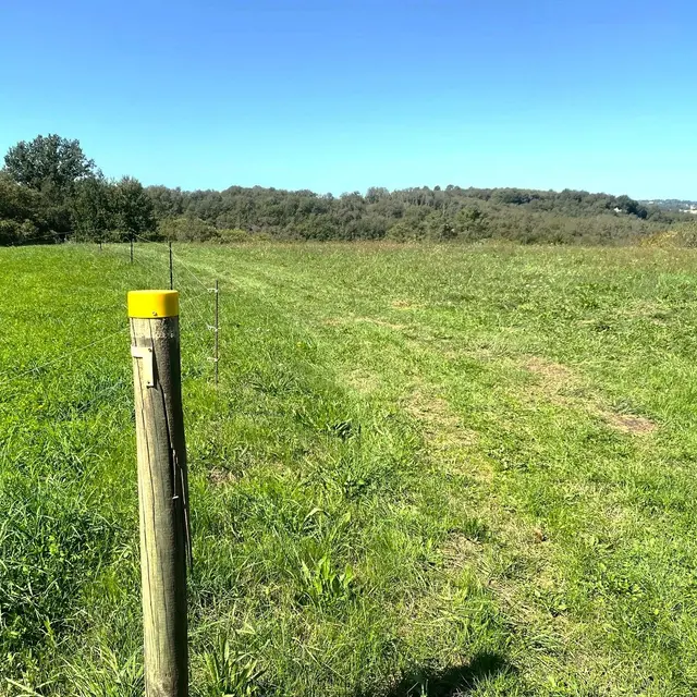 SAINTE-FOY-DE-BELVES-Boucle des Manoirs-Chemin-Poteau 2