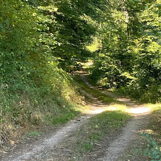 SAVIGNAC DE NONTRON-Boucle des cheyroux-Chemin 2