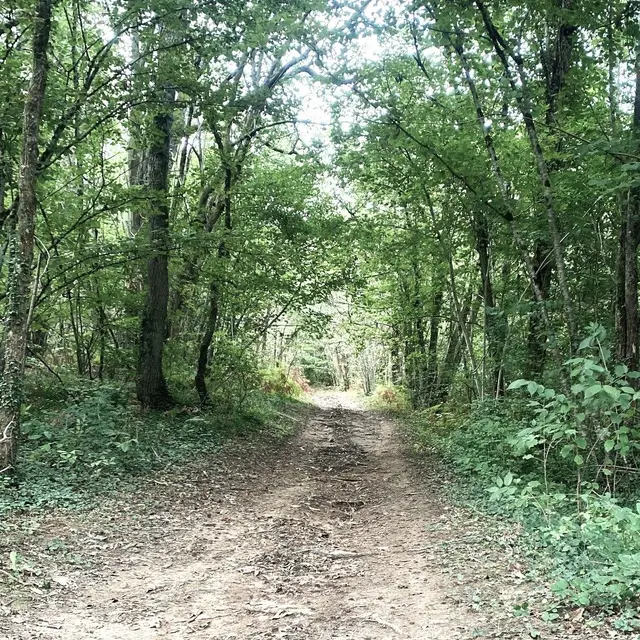 SIORAC-EN-PERIGORD-Boucle de Raunel-Chemin
