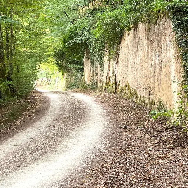 SORGES-Boucle des Murailles-Chemin