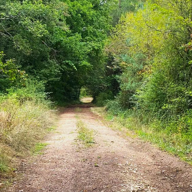 SOUDAT-Boucle de Soudat-Chemin