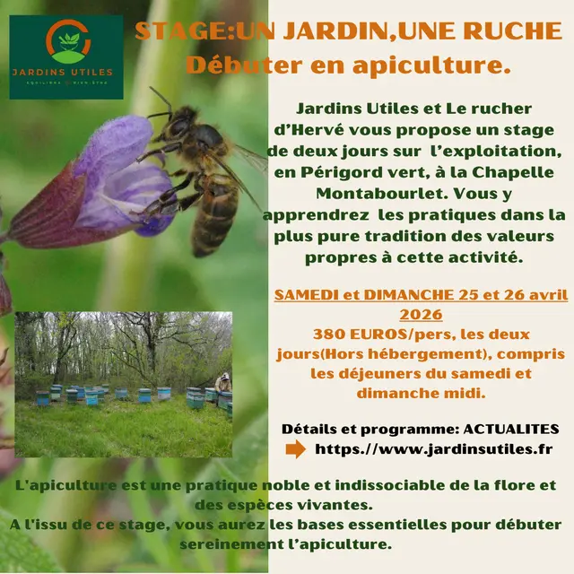 STAGE APICULTURE 2026 - 3