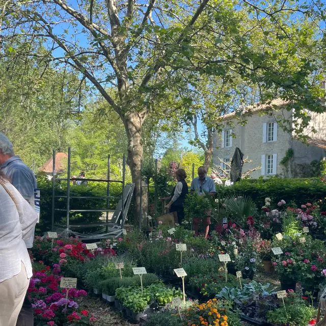 Marché aux fleurs