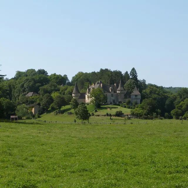 Saint Amand de Coly (8)