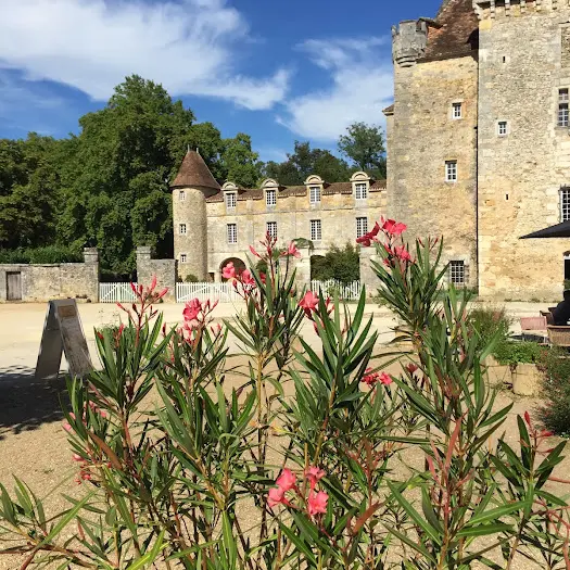 Saint Jean de Côle Château de la Marthonie lauriers