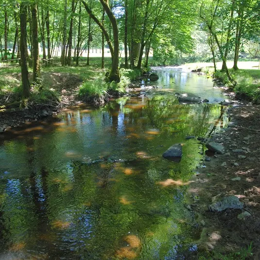 Saint Jory de Chalais  Sentier des demoiselles  (2)