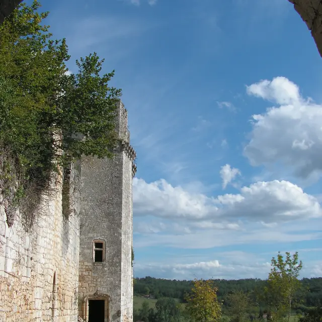 Saint-Pierre-de-Cole-Bruzac-ete--ChateaudeBruzac-2