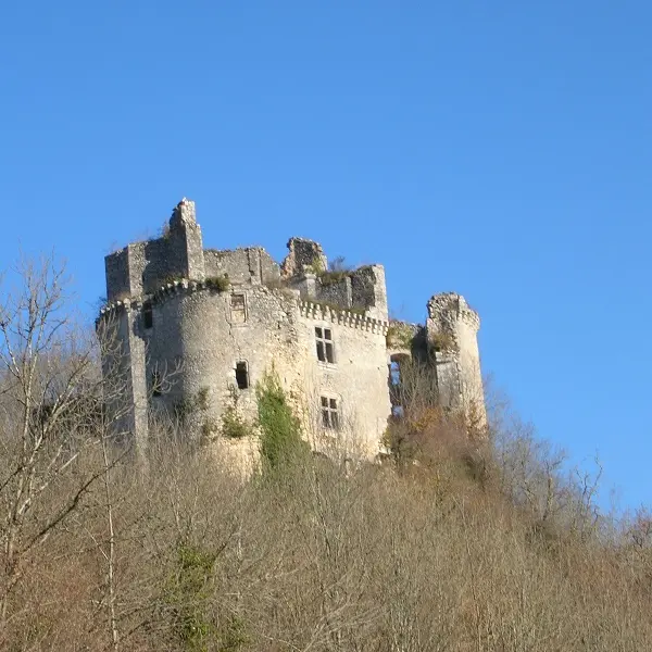 Saint Pierre de Côle chateau de bruzac