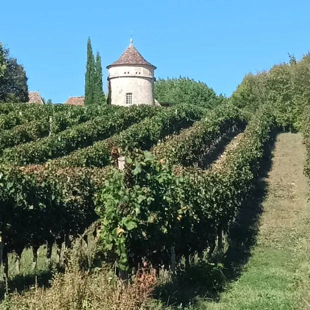 Saint Sauveur de Bergerac (2)