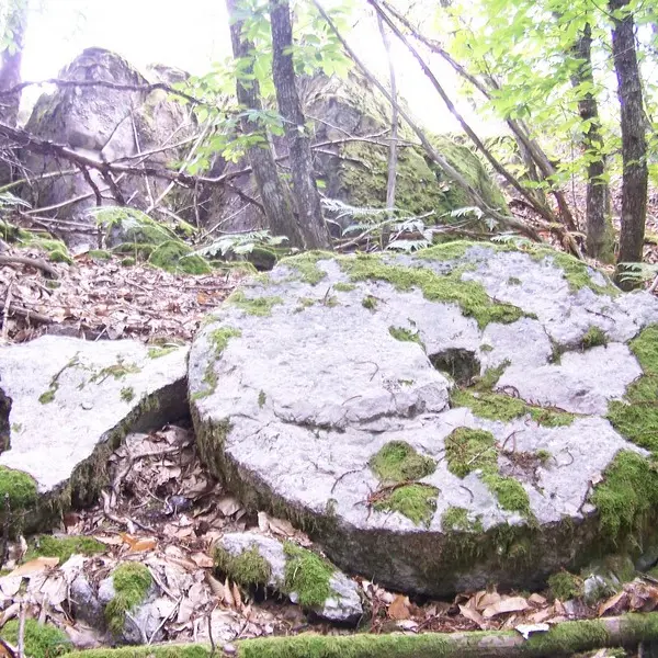 Sentier des meulières_3